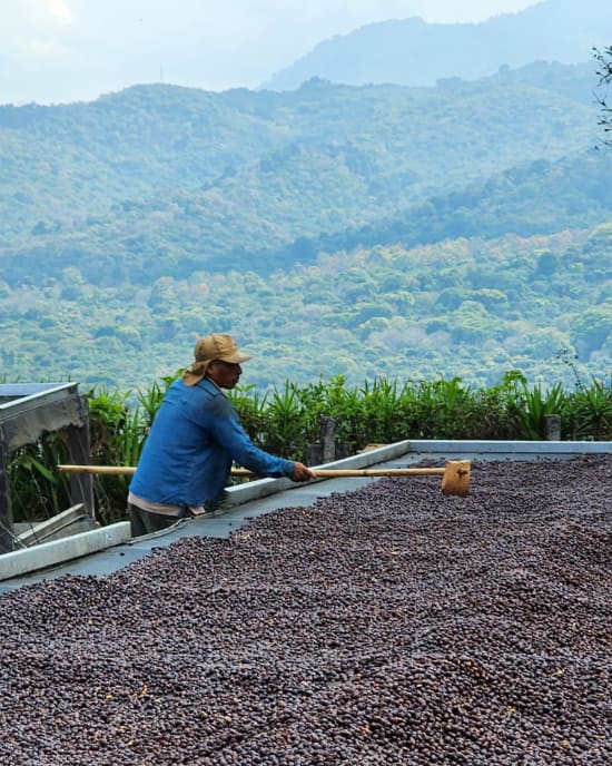 El Salvador, Mauricio Salaverria